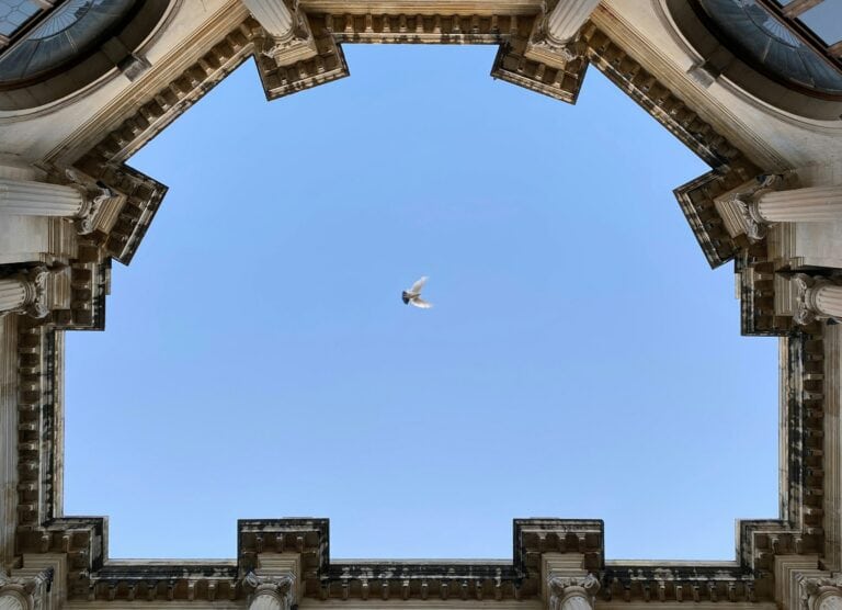 A bird flying through the sky in a building